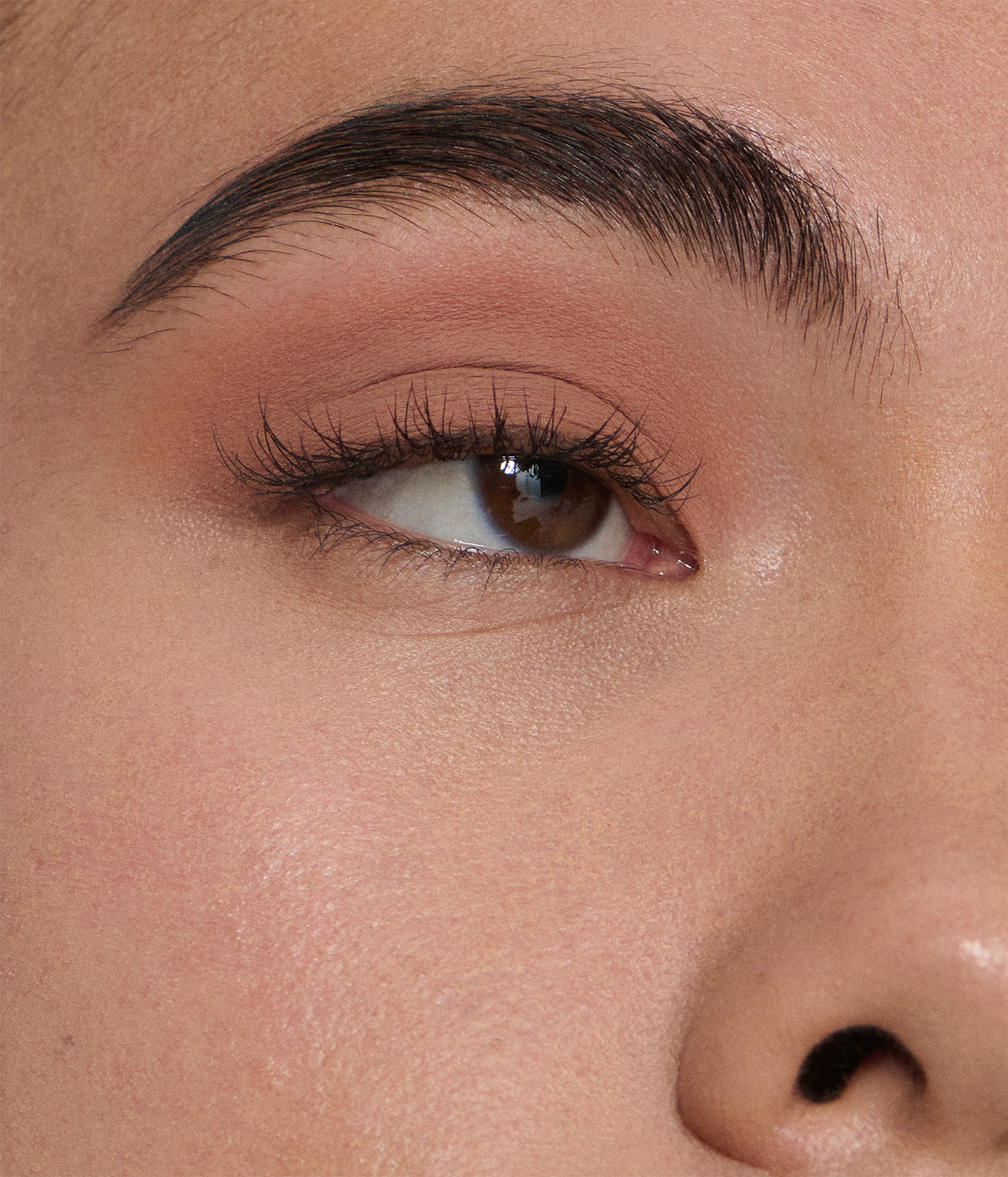 starlet matte liquid eyeshadow